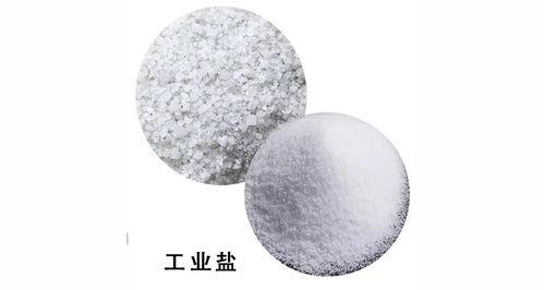 工业盐 化工企业的基本原料与市场趋势分析